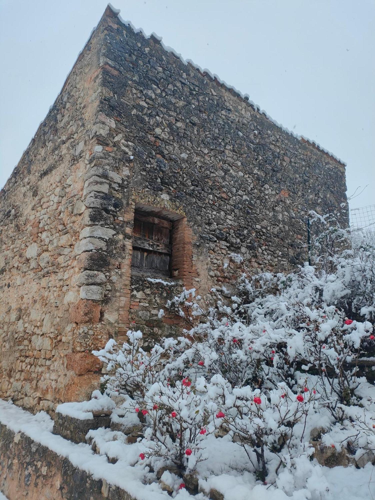 Agriturismo Il Casalino سبوليتو المظهر الخارجي الصورة