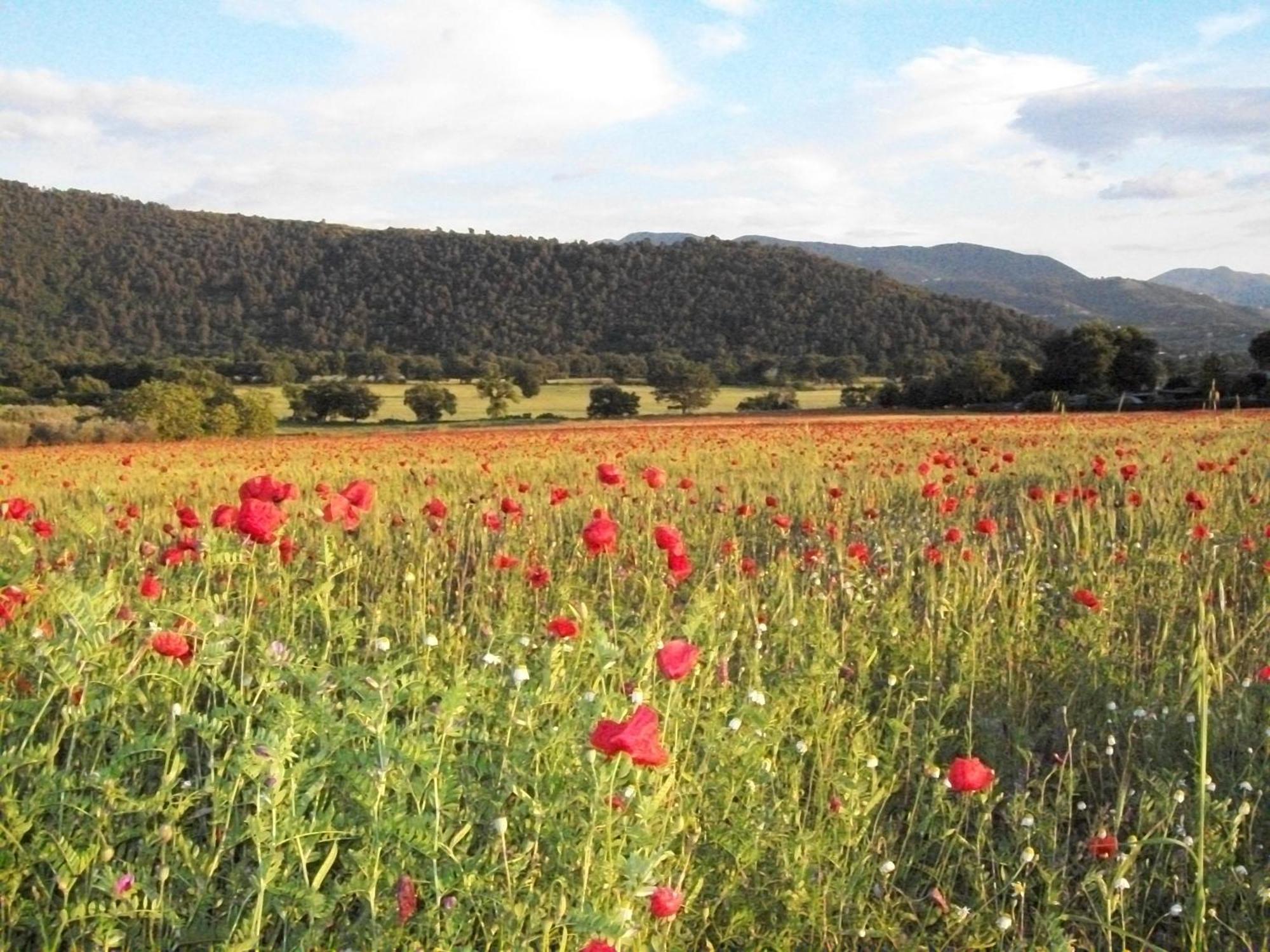 Agriturismo Il Casalino سبوليتو المظهر الخارجي الصورة